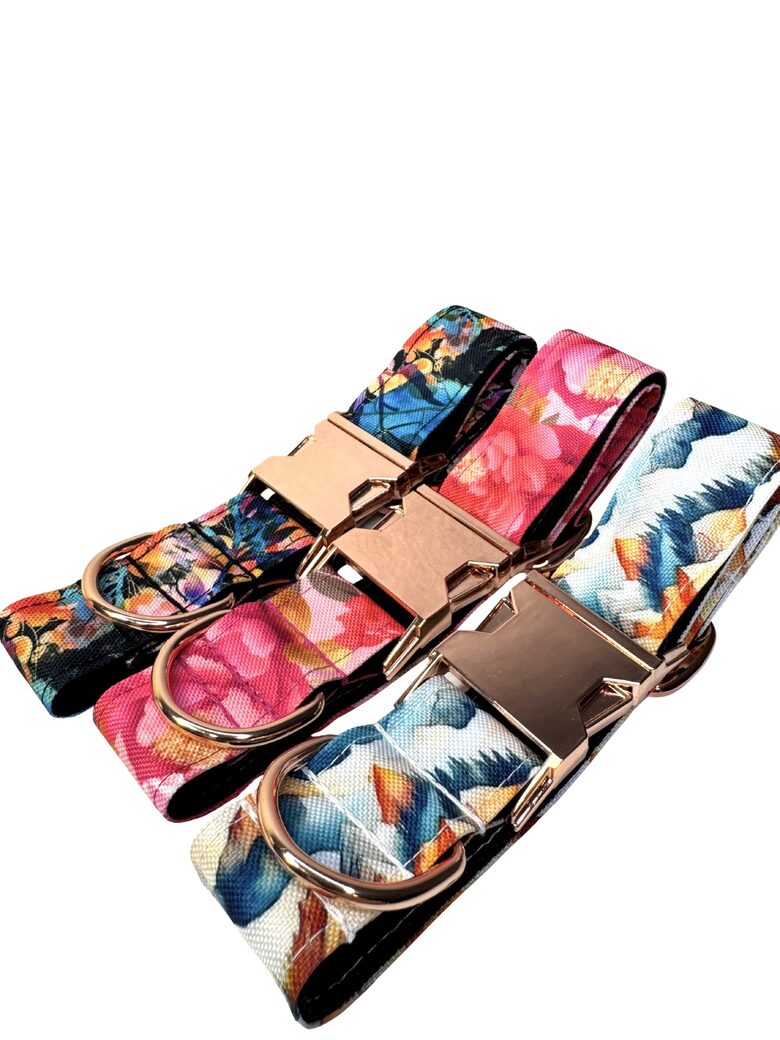 COLLARS WITH METAL HARDWARE